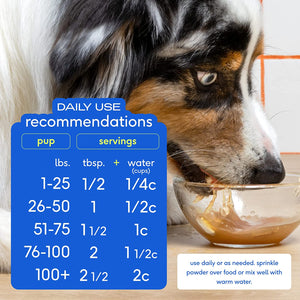 {Product Name} – {Primary Function} – USA-imported supplement delivered in Australia delivery through Australia Post