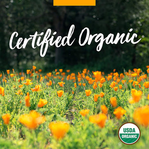 Herb Pharm Certified Organic Artemisia Annua (Sweet Annie) Liquid Extract, 1 Fl Oz