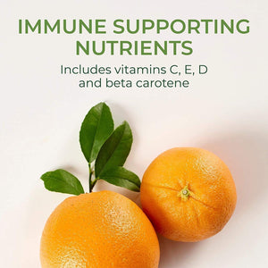 Megafood One Daily Iron Free Multivitamin - Multivitamin for Women and Men - with Real Food - Immune Support Supplement - Bone Health - Energy Metabolism - Vegetarian; Non-Gmo; No Iron - 90 Tablets