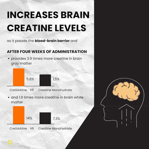 Micronized Creatine Monohydrate + GAA - No Water Retention Approved Science Creatine Vegan & Gluten Free for Muscle Growth Memory & Focus, for Men & Women (Orange)