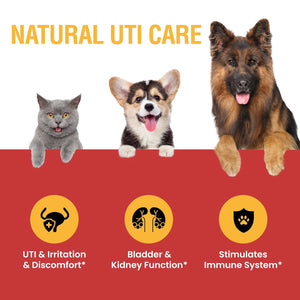 Urinary Tract Infection Treatment for Cats and Dogs - Cranberry UTI Supplement, Kidney and Bladder Support, 4 Oz