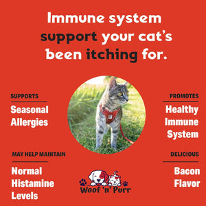 Natural Cat Antibiotic - Antibiotics for Cats - Pet Antibiotics - Cat Antibiotics - Cat Allergy Relief for Cats - Antibiotic for Cats - Cat UTI Antibiotics - 1 Fl Oz: Roast Chicken Flavor