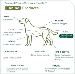 Standard Process Canine Dermal Support - Skin & Adrenal Gland Support Supplement - Comprehensive Skin Health Support Supplement for Dogs - Daily Immune & Liver Support Powder - 125 G