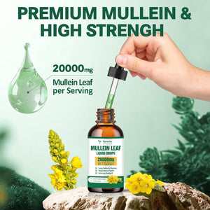 Mullein Drops for Lungs - 98% Absorption Rate 20000Mg Pure Mullein Leaf per Serving - Powerful Mullein for Lung Detox & Cleanse, Respiratory Health, Immunity - Alcohol Free, Natural & Vegan - 2 FL.OZ