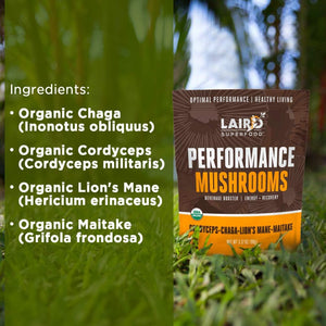 Laird Superfood Organic Performance Mushroom Blend with Chaga, Cordyceps, Lion'S Mane and Maitake for Energy and Cognition, 3.17 Oz. Bag, Pack of 2