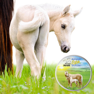 The Blissful Horses Summer Care Sun Butter, Gentle Horse Sunscreen, Easy-To-Apply Equine Sunblock Solution, Must-Have Horse Essentials for All Day Sun Protection, 8 Oz.