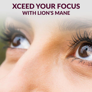 Lions Mane & Cordyceps Mushroom Gummies - 10In1 Supplement - for Focus, Energy, Mood, Memory & Clarity - 60 Pcs