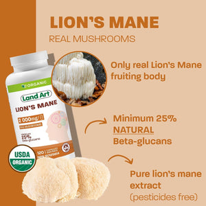 Certified Organic Lion'S Mane - Cognition & Memory - 120 Capsules - 2000Mg- Fruiting Body - Multiple Extraction - over 25% Beta-Glucans