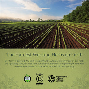 Gaia Herbs Sleepthru - Natural Sleep Support Supplement with Organic Ashwagandha Root, Organic Magnolia Bark, Passionflower, and Jujube Date - 120 Vegan Liquid Phyto-Capsules (60-Day Supply)