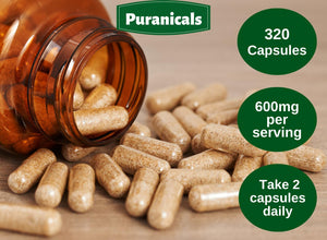 Celery Premium 320 Capsules Non GMO & Gluten Free | Herbal Supplement | 700 Mg per Serving | Made with 100% Pure Herb Celery Seed Powder Also Known as Apium Graveolens