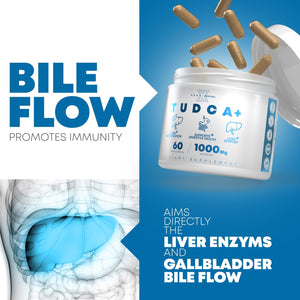 TUDCA+ 1000Mg Bile Salt Supplement for Liver Support, Detoxification, Digestive Health, Inflammation, and Skin Health - Made in the USA (60 Vegan Capsules)