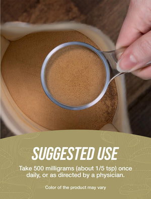 Bulksupplements.Com Maitake Mushroom Extract Powder - Mushroom Supplement, Maitake Supplement - Gluten Free, 500Mg per Serving, 1Kg (2.2 Lbs) (Pack of 1)