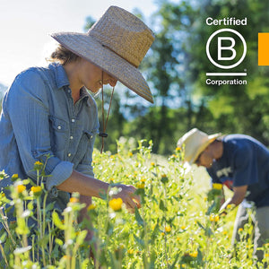 Herb Pharm Certified Organic Artemisia Annua (Sweet Annie) Liquid Extract, 1 Fl Oz