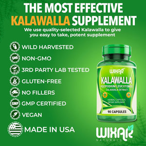 Wixar Kalawalla Capsules – Kalawalla Root & Fern Leaves – Calaguala Extract Herb with Polypodium Leucotomos Pills - Vegetarian Immune, Skin, Alkaline Support Supplements for Men & Women – 90 Capsules