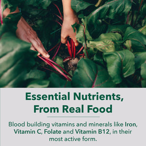 Plantfusion Vegan Iron Supplement for Women & Men - Gentle Plant-Based Iron with Vitamin C, Methyl B12, Folate - Non-Constipating, Wholefood Iron Pills for Energy, Anemia & Blood Support, 60 Capsules