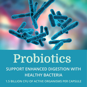 Alkadophilus (3 Pack) Best Process Alkaline — No Refrigeration Probiotic & Prebiotic Digestive Supplement — 1.5 Billion CFU of Good Bacteria & Beetroot