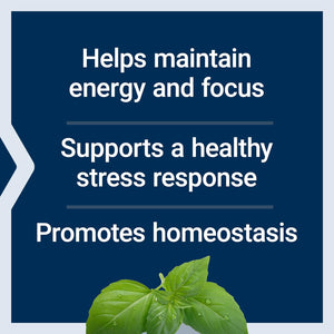 Life Extension Adrenal Energy Formula, Helps Inhibit the Effects of Stress, Holy Basil, Cordyceps, Bacopa and Ashwagandha, Gluten Free, Non-Gmo, Vegetarian, 120 Capsules