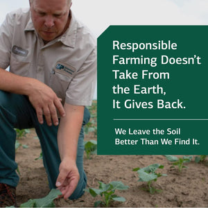 Standard Process Lactic Acid Yeast - Whole Food GI, Digestion and Digestive Health, Saccharomyces Cerevisiae - 100 Wafers