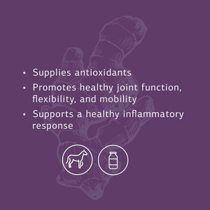 Standard Process Equine Mobility Support - Whole Food Horse Supplies for Antioxidant, Flexibility and Joint Support - Joint Supplement with Ginger Root, Glucosamine Sulfate, Chondroitin Sulfate - 40Oz