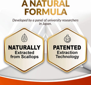 LABO Nutrition Neuroregain - Scallop-Derived PLASMALOGEN for Brain Deterioration, Memory, Alertness, Learning, Concentration and Other Cognitive Functions – Suitable for Seniors, Adult Men & Women X3