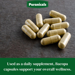 Celery Premium 320 Capsules Non GMO & Gluten Free | Herbal Supplement | 700 Mg per Serving | Made with 100% Pure Herb Celery Seed Powder Also Known as Apium Graveolens