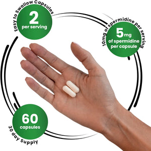 GENEX Spermidine Supplement (60 Vegan Capsules)-10Mg of Spermidine from Wheat Germ Extract, Autophagy Supplement for Healthy Aging & Cell Renewal, Non-Gmo, Gluten-Free