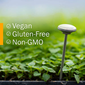 Herb Pharm Certified Organic Artemisia Annua (Sweet Annie) Liquid Extract, 1 Fl Oz