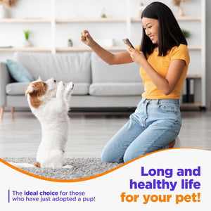 Jack & Milo Organic Cranberry Supplement for Dogs, Dog UTI Incontinence, Kidney and Bladder Control - Cranberry & Antioxidants - Bladder Control for Dogs, USA Made-Non GMO - 120 Tablets