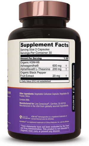 KSM-66 Ashwagandha Supplement W/L Theanine & Alphawave - Zenwell Everyday Stress Relief, Mood Support, Cognitive, Brain Health - Ashwagandha for Men & Women - 60 Capsules