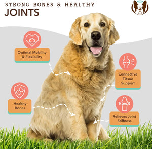Natural Dog Company Liquid Glucosamine Hip & Joint Oil for Dogs, 16 Oz, Extra Strength Cartilage and Joint Support, Helps Mobility and Eases Occasional Stiffness, Dog Vitamins and Supplements