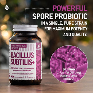 Bacillus Subtilis Spore Based Probiotic — High Potency Strain with Prebiotic for Balanced Belly | Daily Gut Health & Microbiome Support for Family | 6 Billion CFU per Day | 180 Vegetarian Capsules
