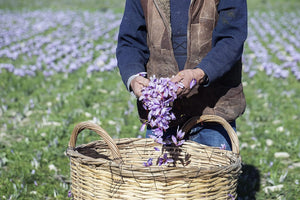 KORRES Golden Krocus Anti-Aging Serum for Women, 1 Fl Oz