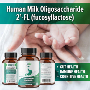 Layer Origin | Purehmo Human Milk Oligosaccharide (HMO 2'-FL) Prebiotic - Feed 180 Billion Probiotics/Serving, 30-Day Supply