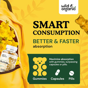 Wild & Organic Mullein Gummies 2000Mg - Daily Dietary Supplement for Respiratory, Digestive & Immune Support - Vegan, Non-Gmo Verbascum Thapsus Herbal Extract - 60 Chews