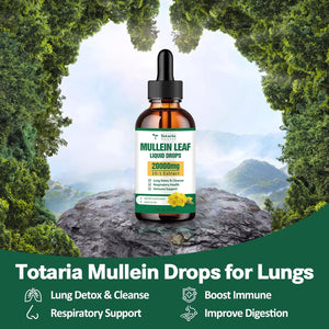 Mullein Drops for Lungs - 98% Absorption Rate 20000Mg Pure Mullein Leaf per Serving - Powerful Mullein for Lung Detox & Cleanse, Respiratory Health, Immunity - Alcohol Free, Natural & Vegan - 2 FL.OZ