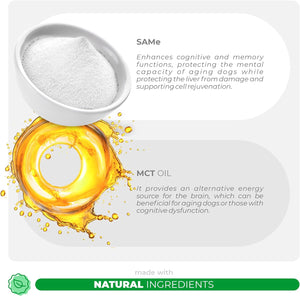 Same for Dogs - S-Adenosyl-L-Methionine, Liver Supplements for Dogs - Brain Supplement for Dogs, Promotes Cognitive Support, Liver Support Supplement