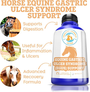 Horse All-Natural Equine Gastric Ulcer Syndrome (EGUS) Support -Reduces Ulcers & Other Stomach Lining Issues - Supplements for Horses - Homeopathic & Highly Effective-300 Tablets