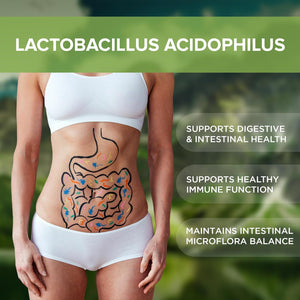 Lactobacillus Acidophilus Probiotic Supplement 240 Tablets 3 Billion CFU Probiotics for Men & Women Supports Intestinal Digestive & Gut Health Made in the USA (240, Lactobacillus Acidophilus)