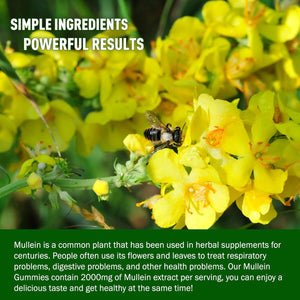 Mullein Leaf Extract for Lungs, 2000Mg Mullein Gummies for Lungs & Respiratory & Digestive System Support, Immune Booster, Organic Mullein Supplement for Mucus Relief, Vegan, 60