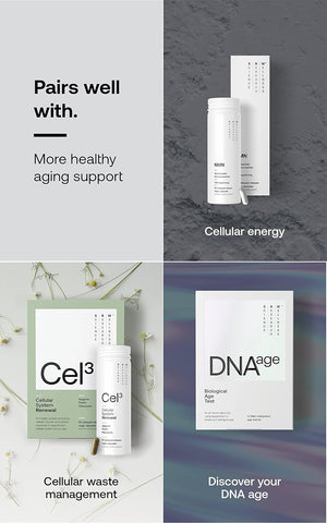 male enhancement pills best male enhancement natural male enhancement male enhancement supplements how to increase penis size naturally erectile dysfunction treatment increase stamina in bed penis enlargement pills testosterone booster for men ho