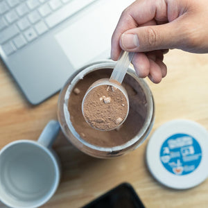 Nutrabio – Hot Chocolate Protein Powder – Support Muscle Recovery, Strength and Size – Low Calorie, Low Carb – 18 Servings – 20 Grams of Protein