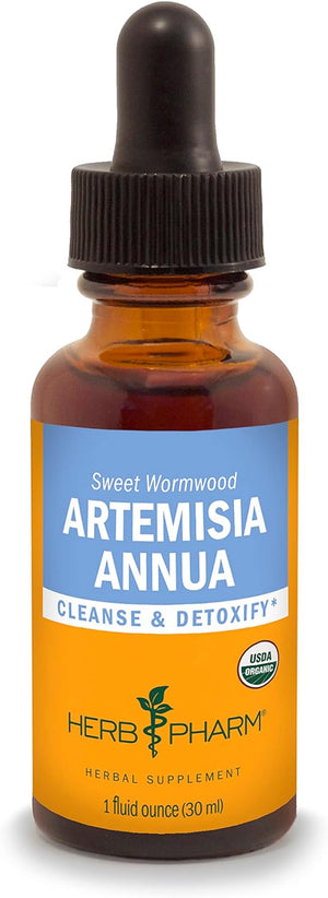Herb Pharm Certified Organic Artemisia Annua (Sweet Annie) Liquid Extract, 1 Fl Oz