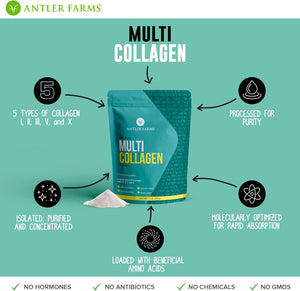 Antler Farms - Multi Collagen Protein Powder - 5 Types (I, II, III, V, and X) 100% Pure Hydrolyzed Collagen Peptides for Men and Women - Bioavailable, Rapid Absorption - Unflavored - 1 Lb