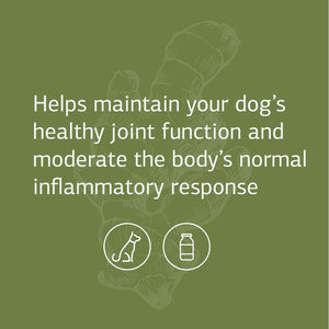 {Product Name} – {Primary Function} – USA-imported supplement delivered in Australia delivery through Australia Post