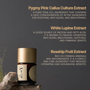 KOY Solid Volume Ampoule with Face Roller Spatula Appliactor - Filling with 71% High-Density Protein Base - Wrinkle Reduction and Elasticity - Unique Texture between Ampoule and Cream , 1.18 Fl.Oz