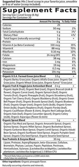 Garden of Life Raw Organic Perfect Food Green Superfood Juiced Greens Powder - Apple Flavor, 30 Servings - Vegan Gluten Free Whole Food Dietary Supplement, Greens plus Probiotics & Enzymes