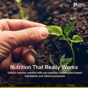 Premier Research Labs Pancreven: Herbal Complex for Pancreas Support, Digestive Health & Blood Balance - All Natural Supplement with Blueberry, Cranberry & Cinnamon - 60 Plant Capsules