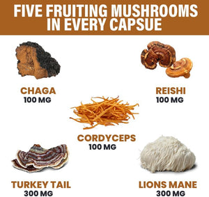 Lions Mane Capsules, Mushroom Supplement with Turkey Tail, Cordyceps Reishi Chaga, Alt to Mushroom Gummies or Mushroom Coffee, Made in USA (60 Count)
