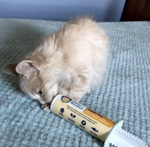 {Product Name} – {Primary Function} – USA-imported supplement delivered in Australia delivery through Australia Post