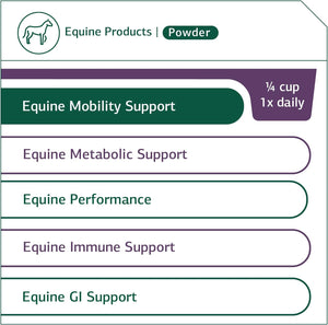 Standard Process Equine Mobility Support - Whole Food Horse Supplies for Antioxidant, Flexibility and Joint Support - Joint Supplement with Ginger Root, Glucosamine Sulfate, Chondroitin Sulfate - 40Oz